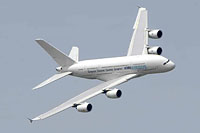 contributors civil ila 2008