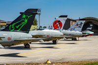 contributors military 30 anni di amx