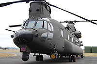 contributors military costituzione 3reos