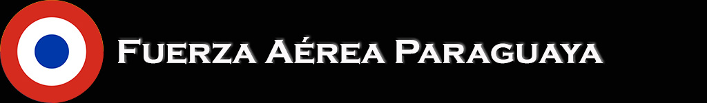 Cruzex 2024 stripe 4