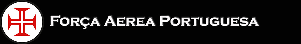 Cruzex 2024 stripe 6