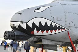 Dubai Air Show 2025 image 2