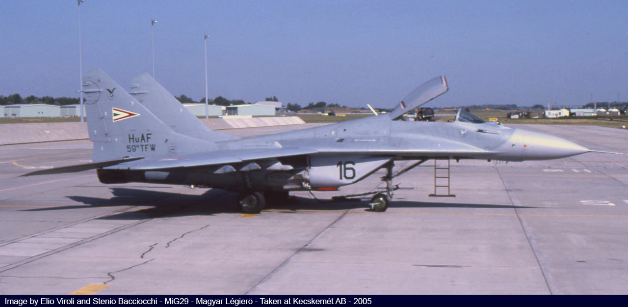 Hungarian AF image 8