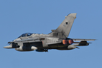 Iniochos 2025 image 19