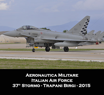 portfolio military am 37 stormo 2015 title