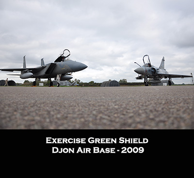 portfolio military green shield 2009 title