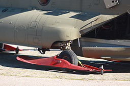 Bheltra V image 11