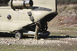 Bheltra V image 12