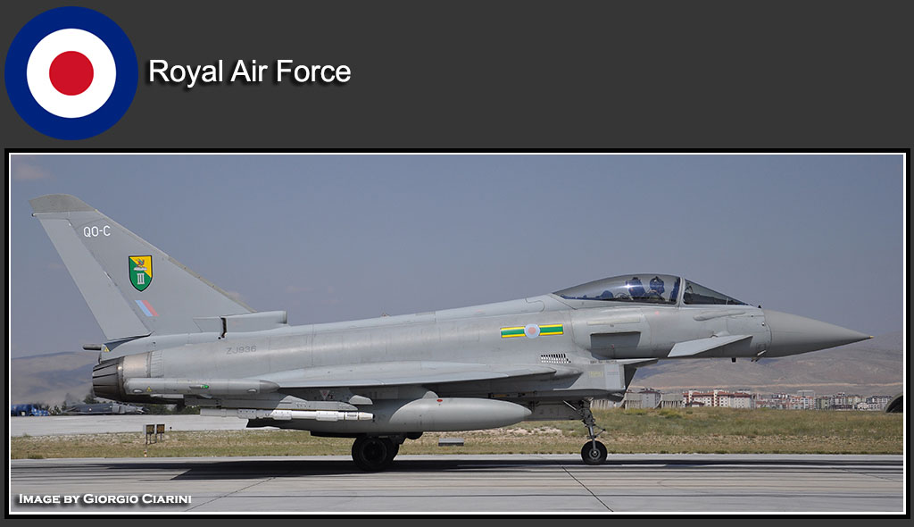typhoon area foreign users royal air force