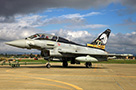 typhoon database image mm55093 spec