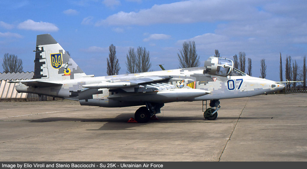ukraine air force and navy image 4